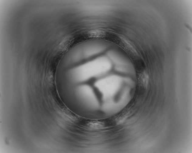 X0000091540557200708171246