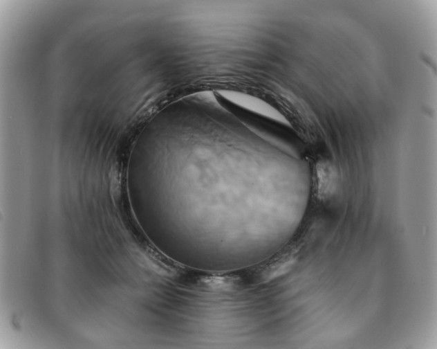 X0000091540558200708171246