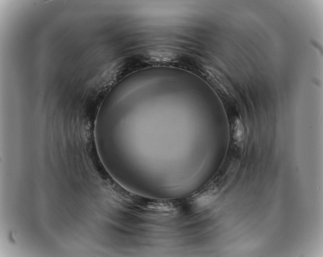 X0000091540559200708171246