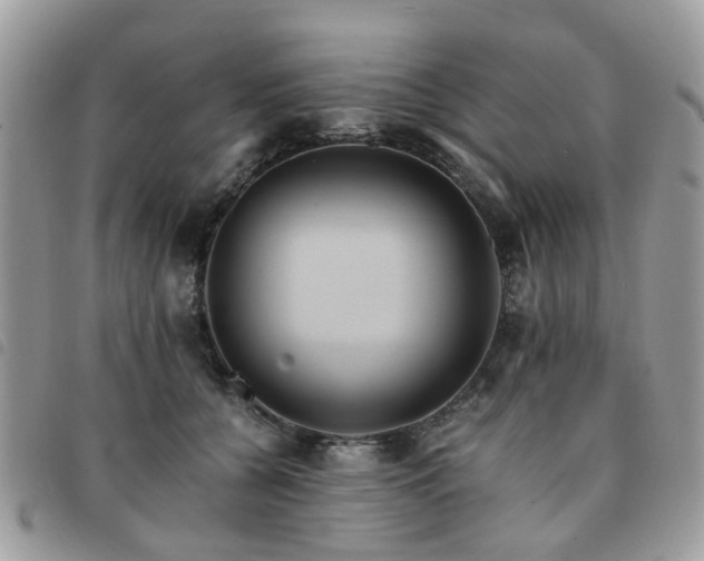 X0000091540560200708171246