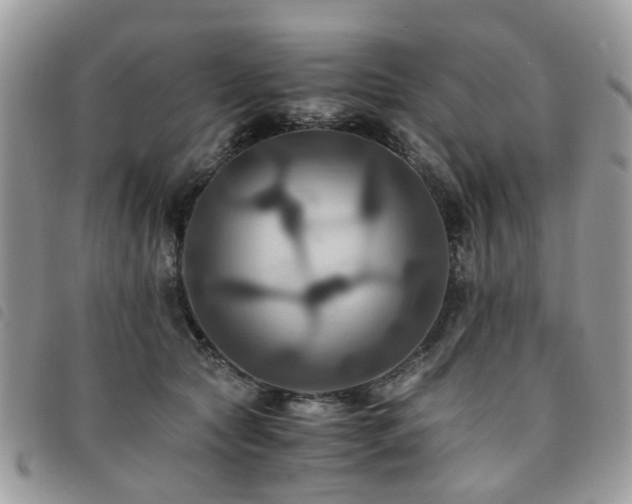 X0000091540561200708171246