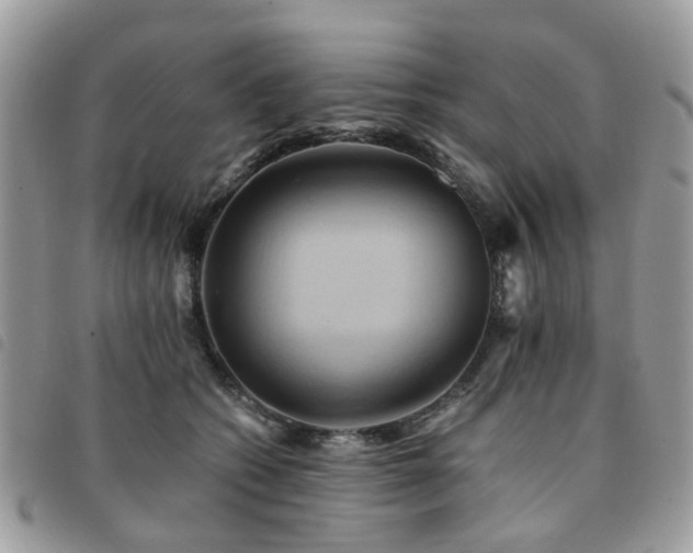X0000091540562200708171246