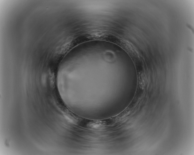 X0000091540563200708171246
