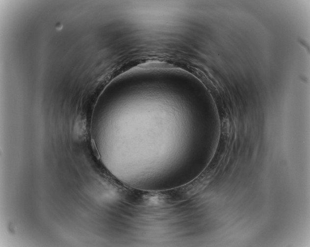 X0000091540564200708171246