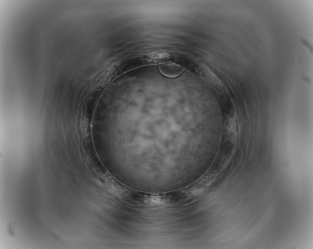 X0000091540565200708171246