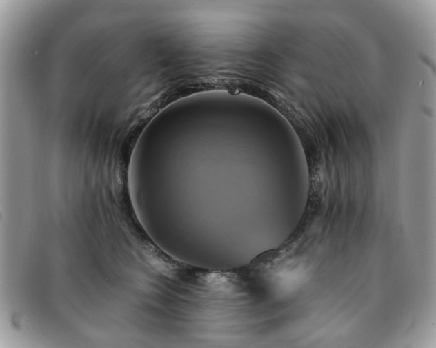X0000091540566200708171246