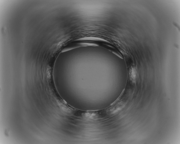 X0000091540570200708171246