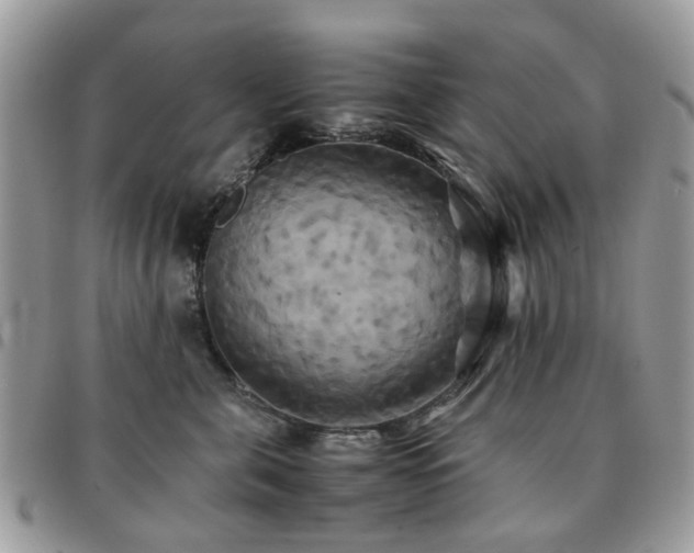 X0000091540571200708171246