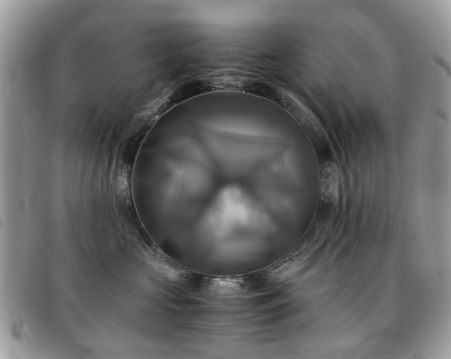 X0000091540573200708171247