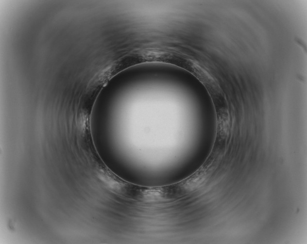 X0000091540574200708171247