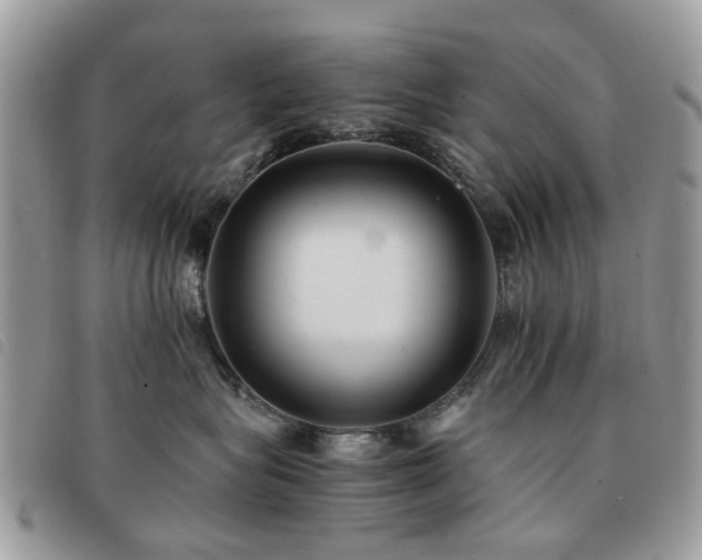 X0000091540575200708171247