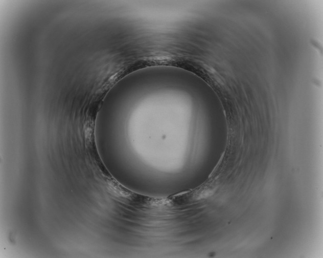 X0000091540576200708171247