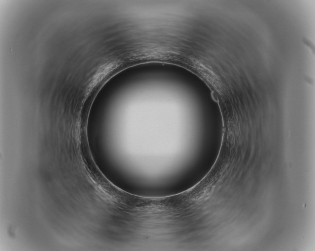 X0000091540578200708171246
