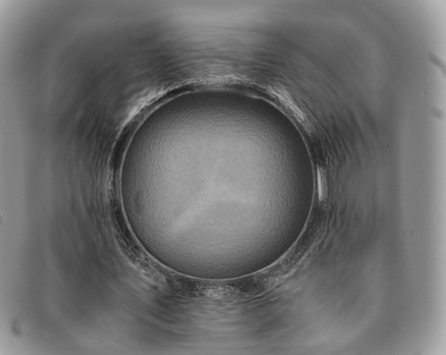 X0000091540579200708171246