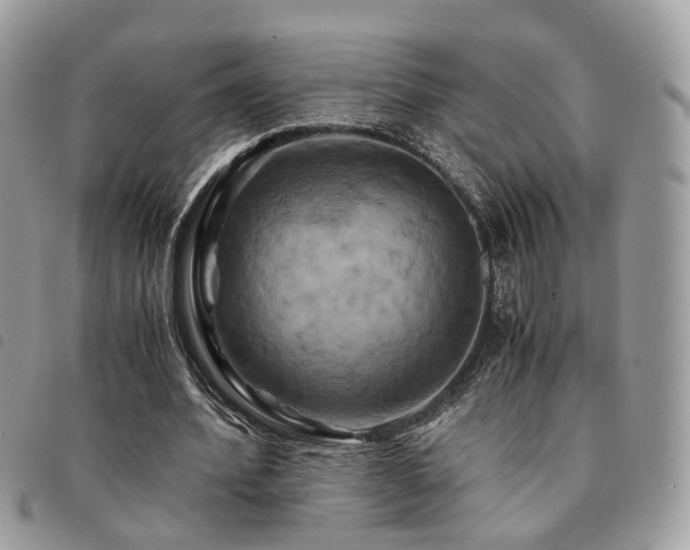 X0000091540580200708171246