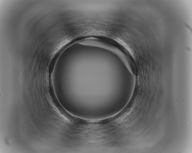 X0000091540581200708171246