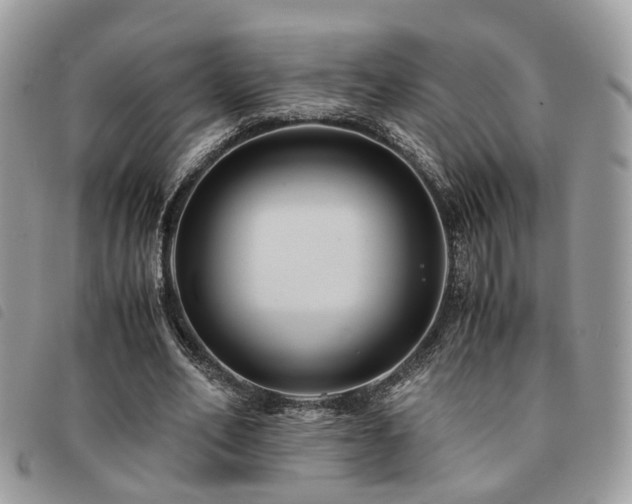 X0000091540582200708171246