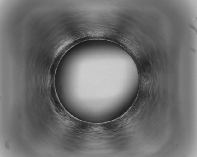 X0000091540583200708171246
