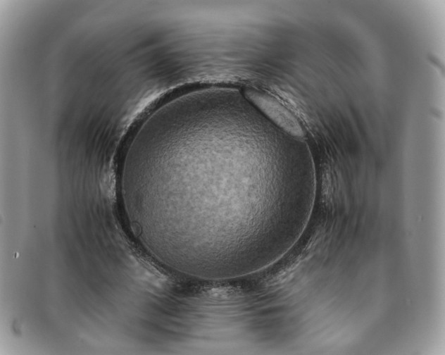 X0000091540584200708171246