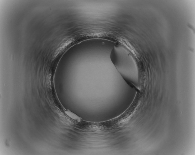 X0000091540585200708171246