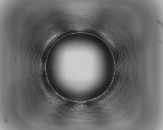 X0000091540587200708171246