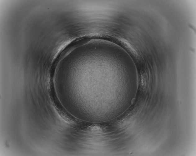 X0000091540588200708171246