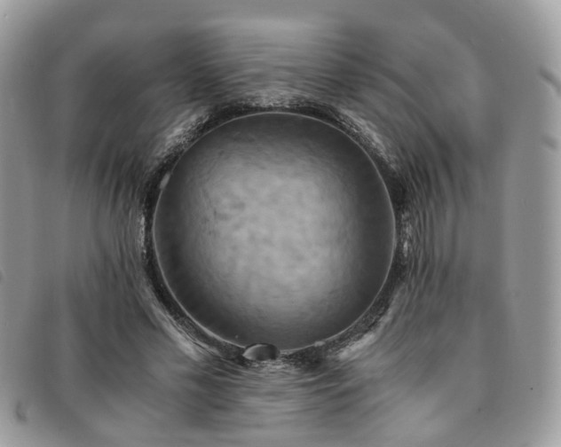X0000091540589200708171246