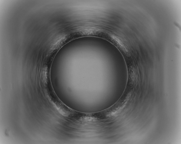 X0000091540590200708171246