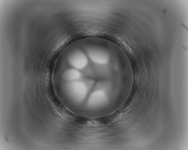X0000091540591200708171246