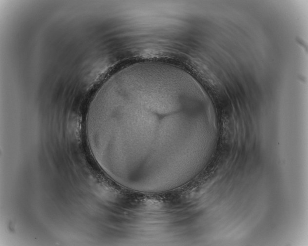 X0000091540592200708171246