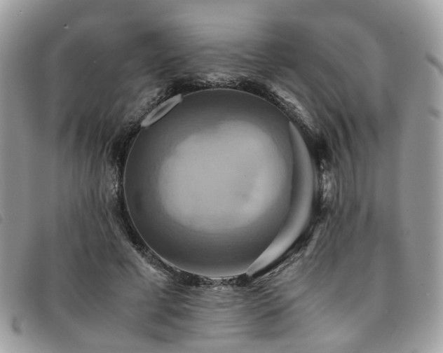 X0000091540593200708171246