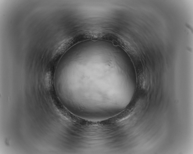 X0000091540594200708171246