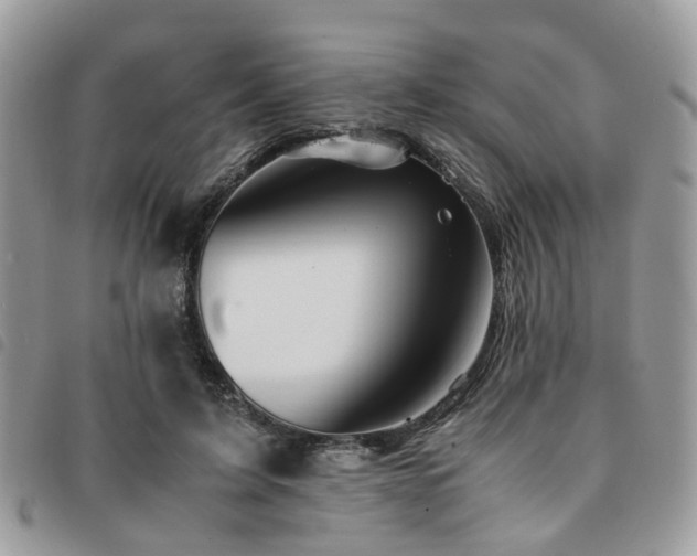X0000091540595200708171246