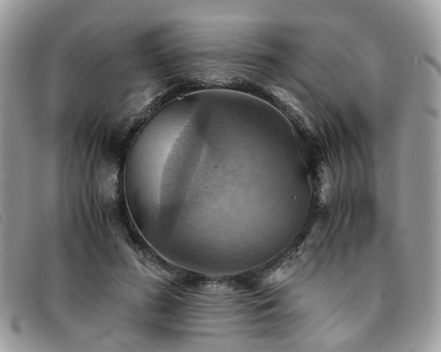 X0000091540596200708171246