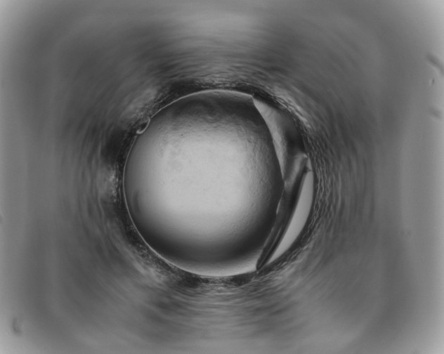 X0000091540597200708171246