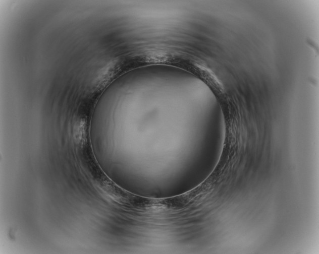 X0000091540598200708171246
