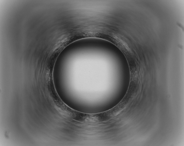 X0000091540599200708171246