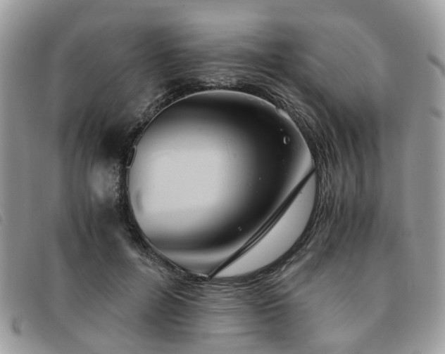 X0000091540600200708171246