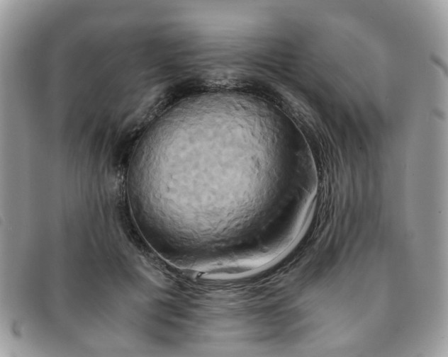 X0000091540601200708171246