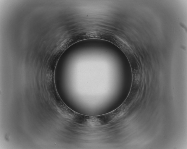 X0000091540603200708171246