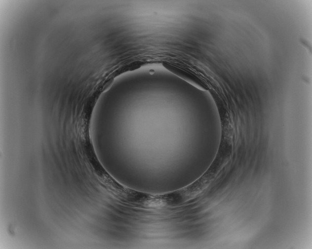 X0000091540604200708171246