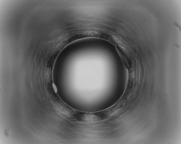 X0000091540605200708171246