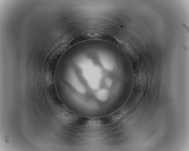 X0000091540606200708171246