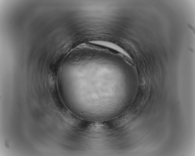 X0000091540607200708171245