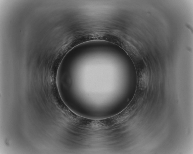 X0000091540608200708171245