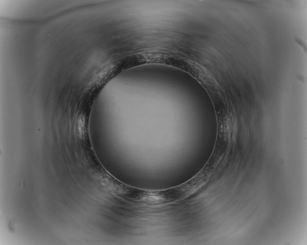 X0000091540610200708171245