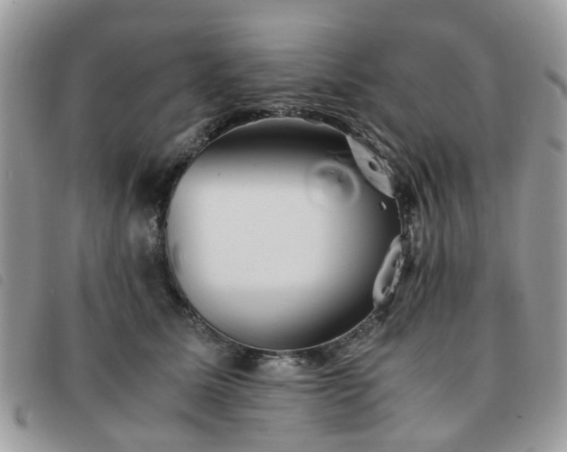 X0000091540611200708171245