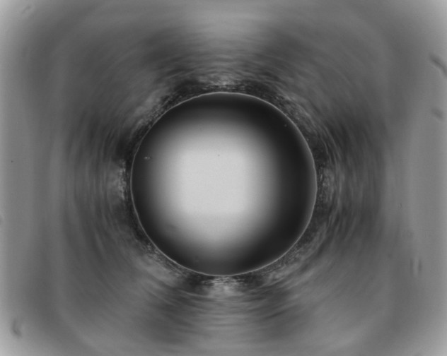 X0000091540612200708171245
