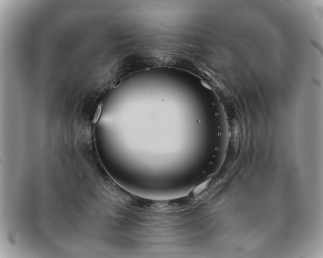X0000091540613200708171245