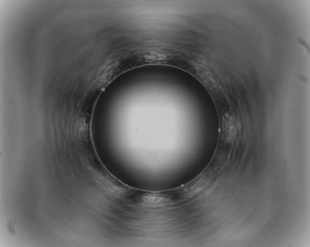 X0000091540614200708171245
